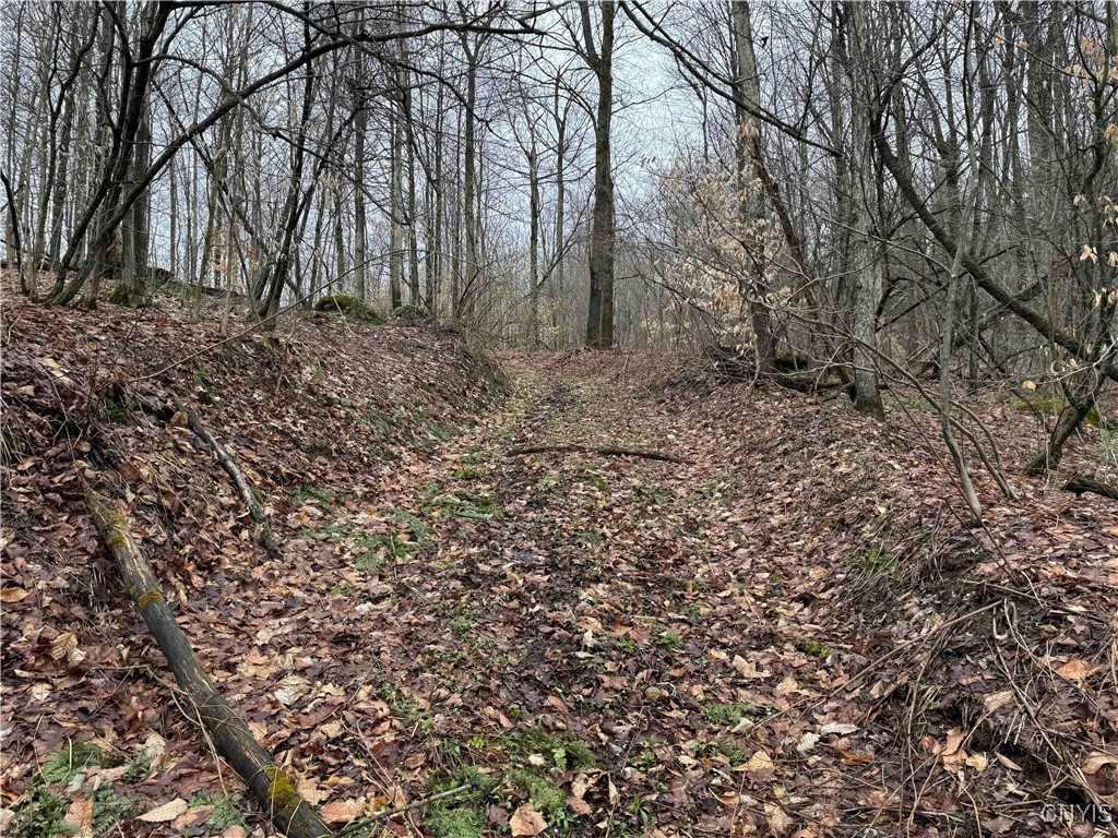 28th Creek Road, Ellington, New York image 12