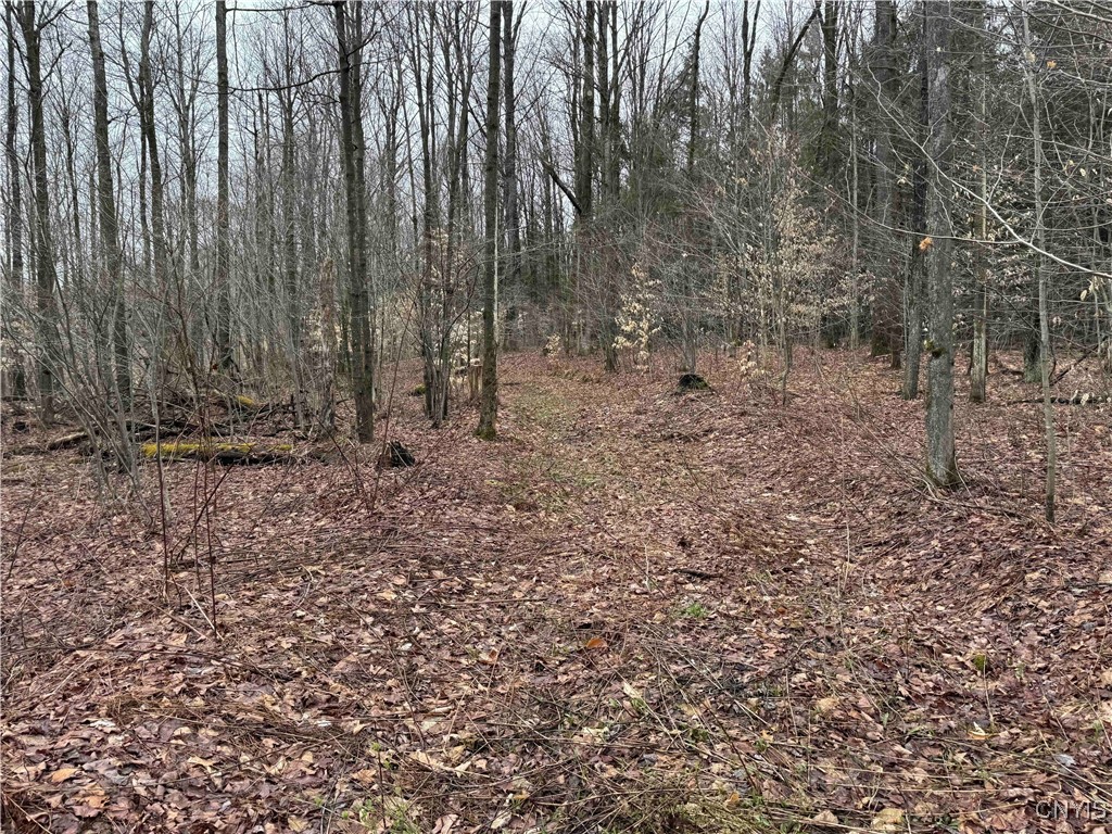 28th Creek Road, Ellington, New York image 18