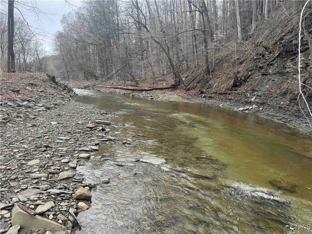 28th Creek Road, Ellington, New York image 26