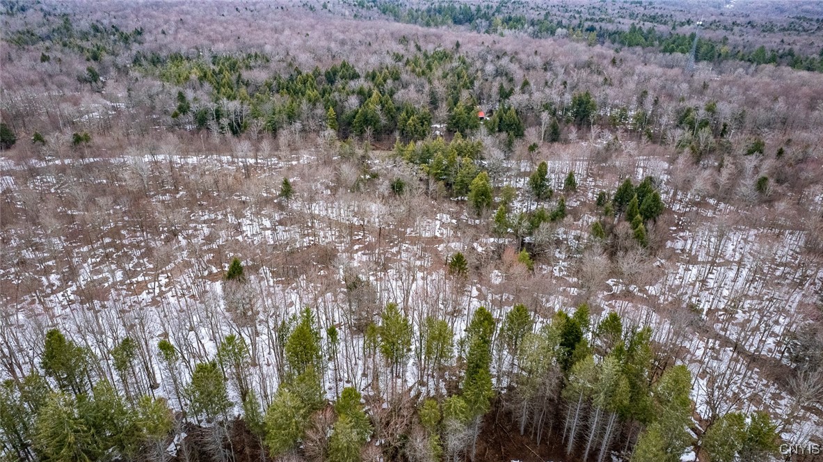 67 Maple Ridge Road, Redfield, New York image 12