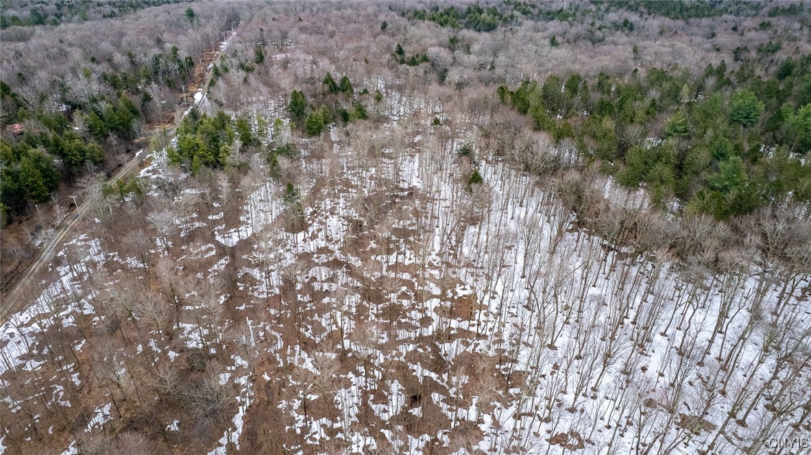 67 Maple Ridge Road, Redfield, New York image 8