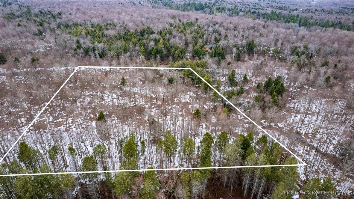 67 Maple Ridge Road, Redfield, New York image 11