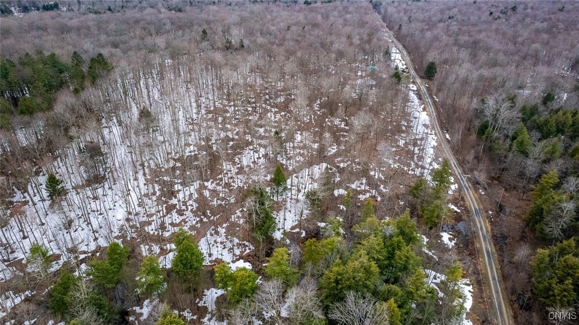 67 Maple Ridge Road, Redfield, New York image 1