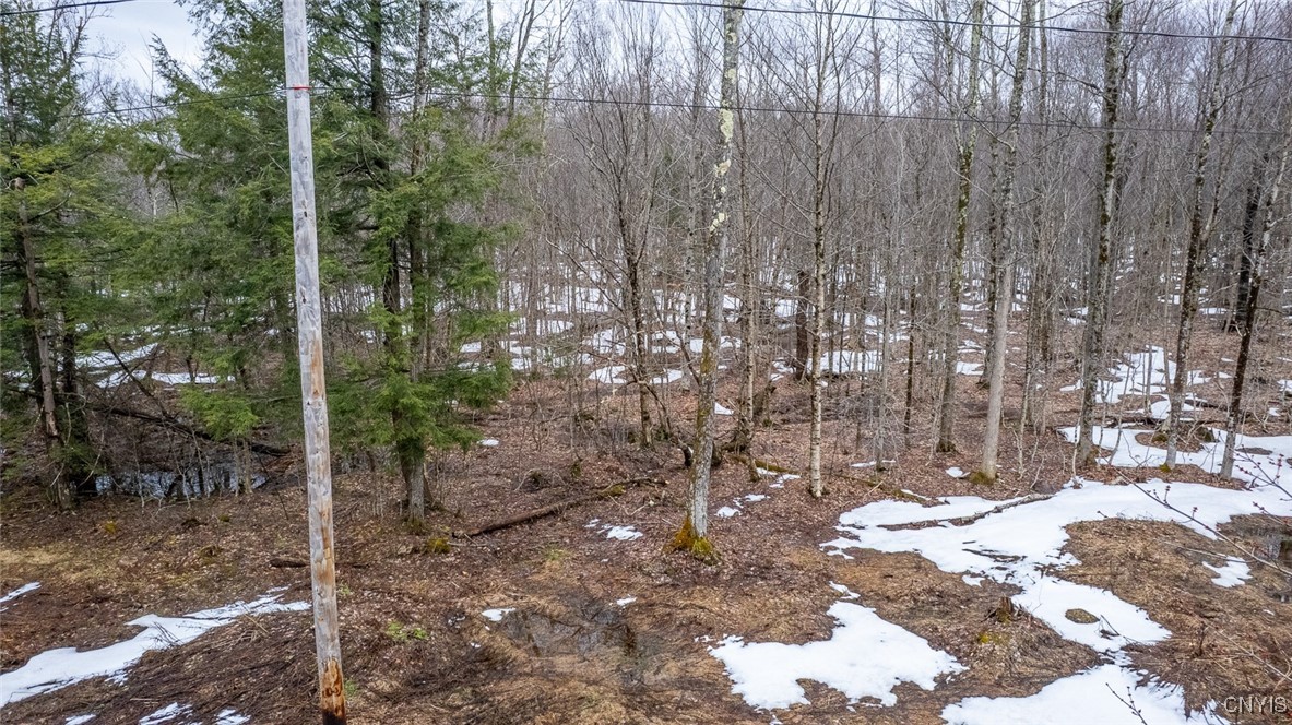 67 Maple Ridge Road, Redfield, New York image 9