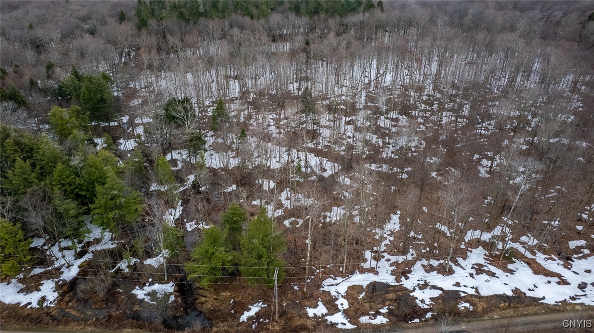 67 Maple Ridge Road, Redfield, New York image 3