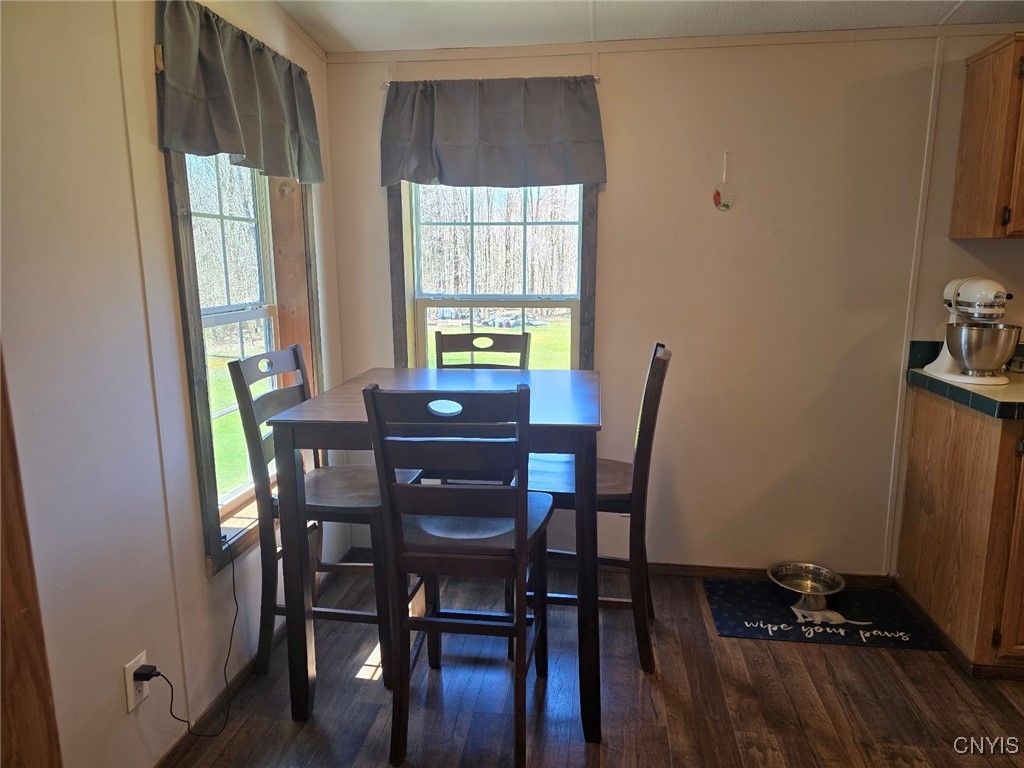 9717 Steam Mill Road, Camden, New York image 10