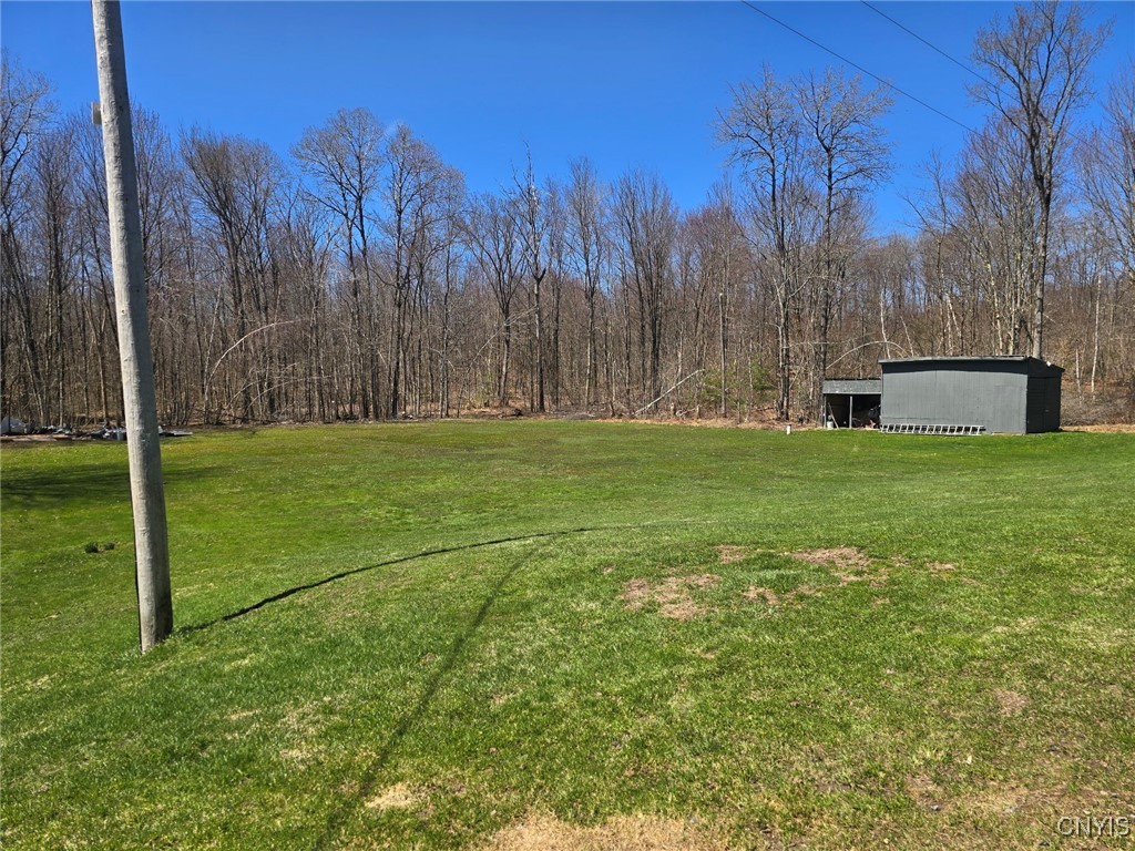 9717 Steam Mill Road, Camden, New York image 23