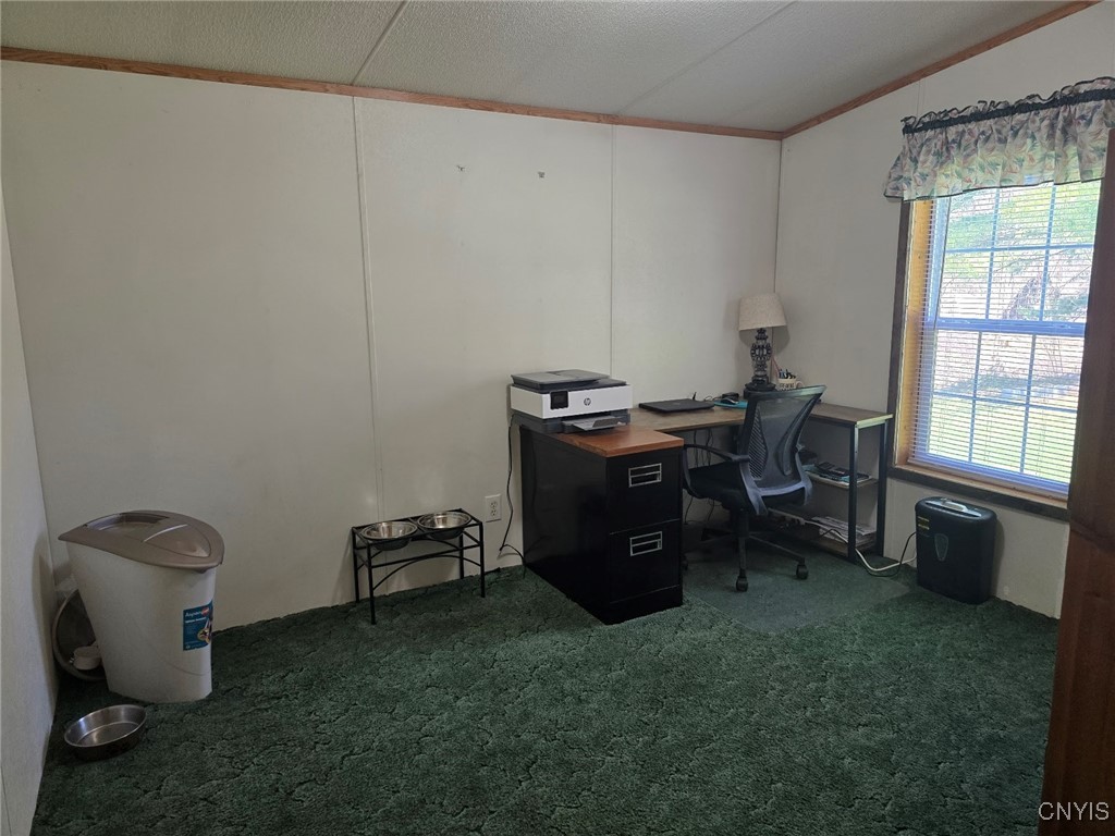 9717 Steam Mill Road, Camden, New York image 18