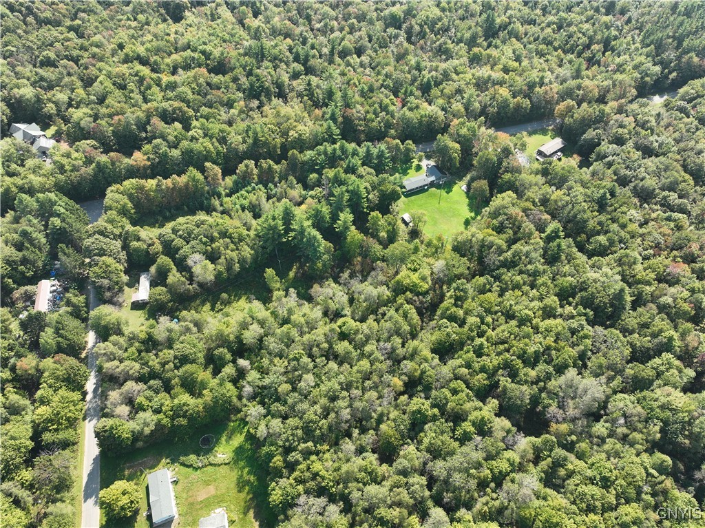 9717 Steam Mill Road, Camden, New York image 25