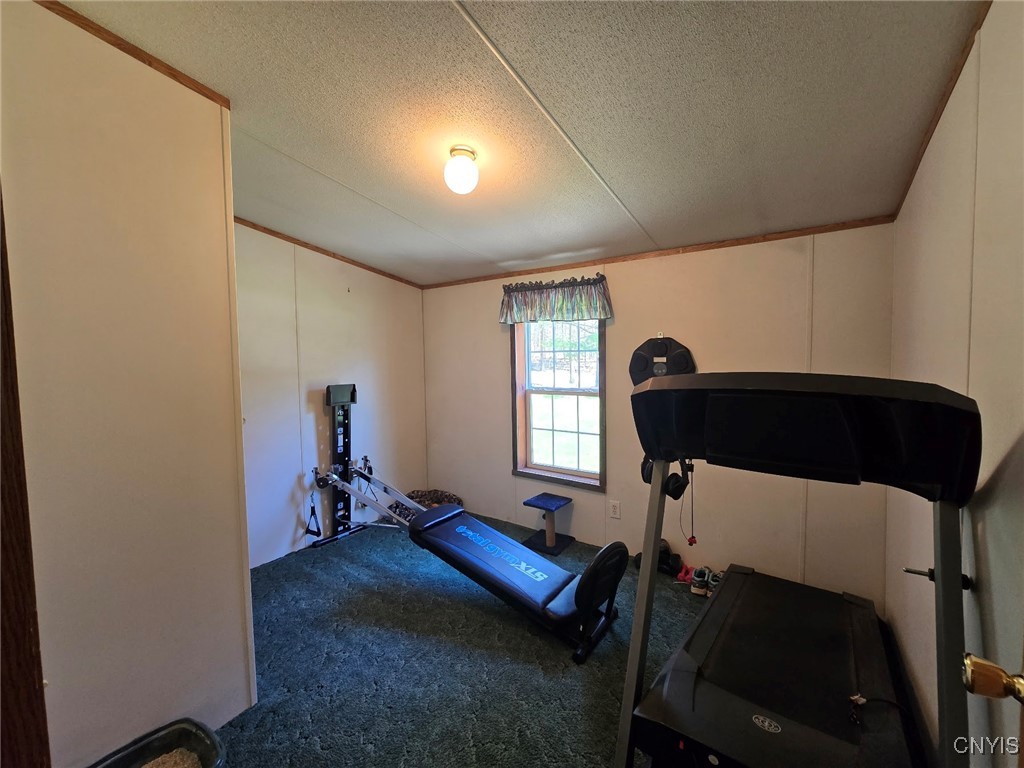 9717 Steam Mill Road, Camden, New York image 17