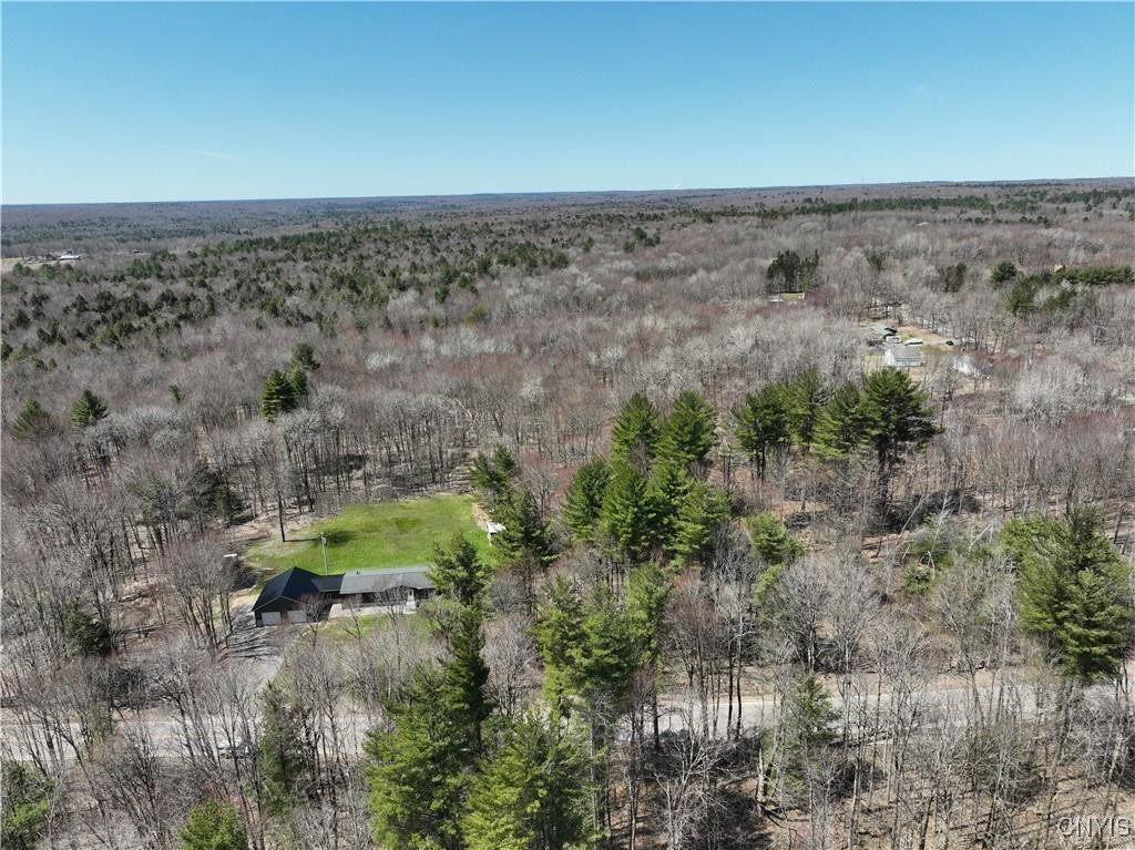 9717 Steam Mill Road, Camden, New York image 29