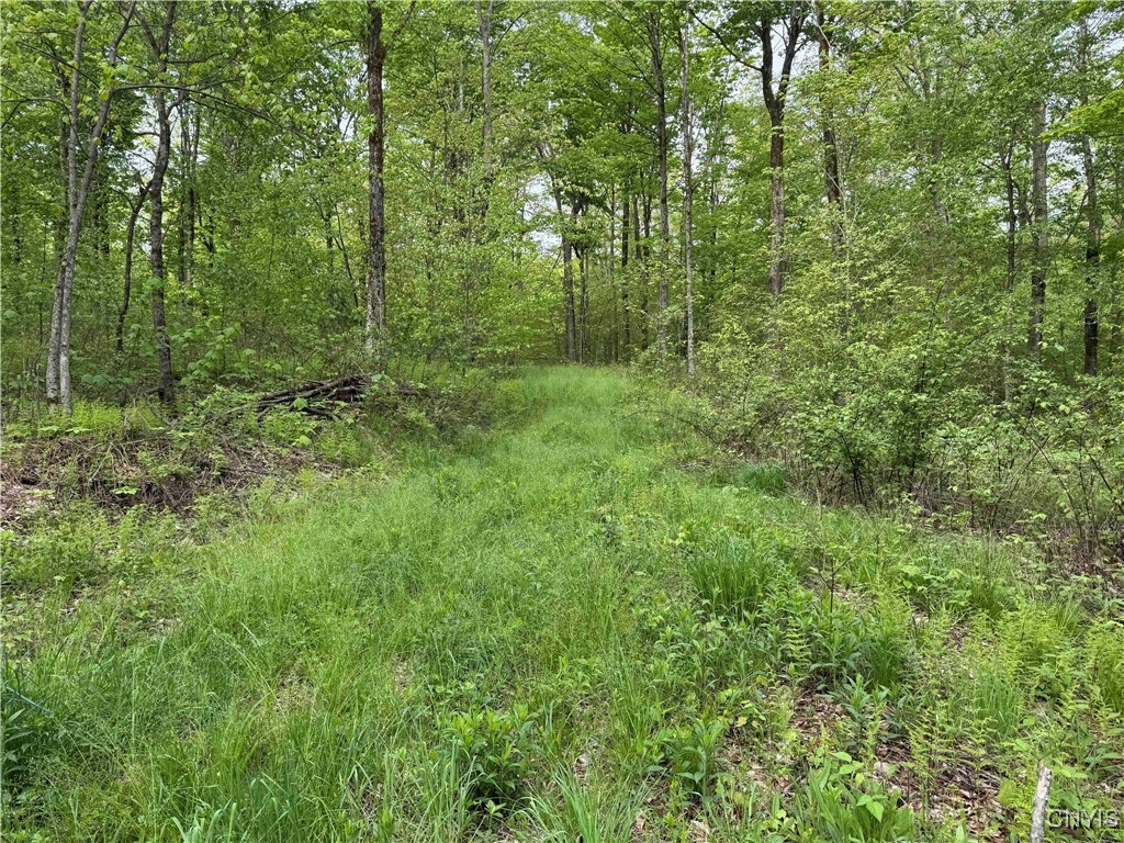 Jordan Hill Road, Clarksville, New York image 39