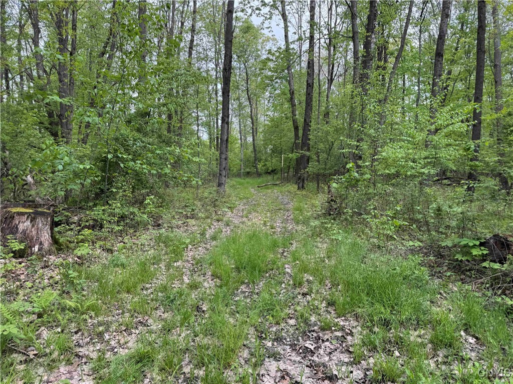 Jordan Hill Road, Clarksville, New York image 10