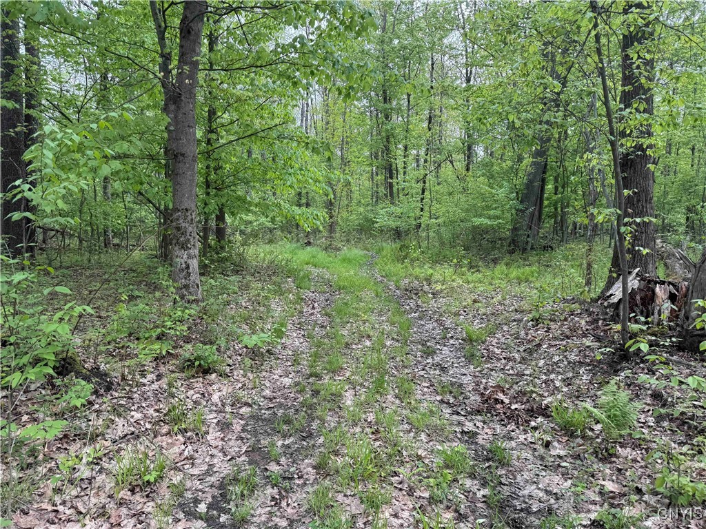 Jordan Hill Road, Clarksville, New York image 9