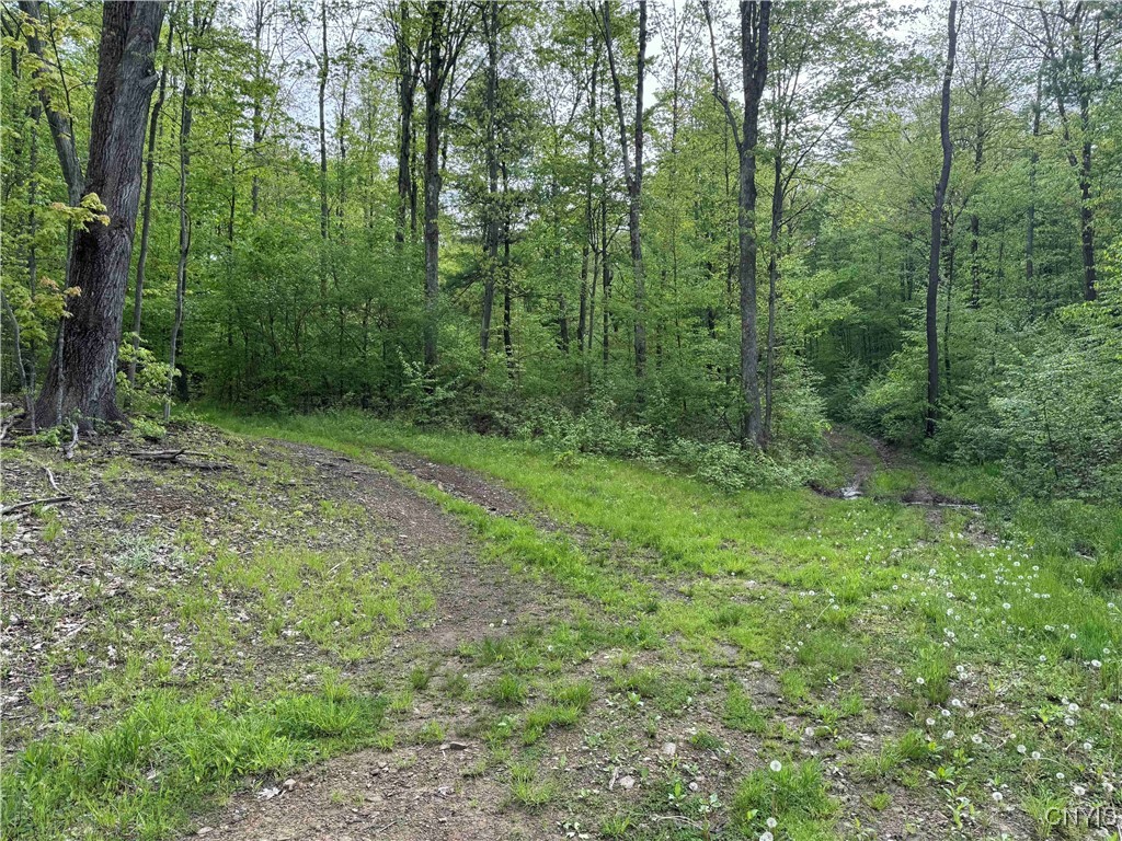 Jordan Hill Road, Clarksville, New York image 29