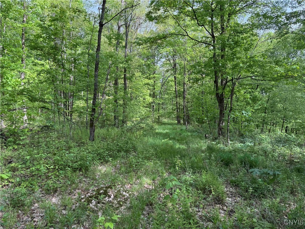 Jordan Hill Road, Clarksville, New York image 35