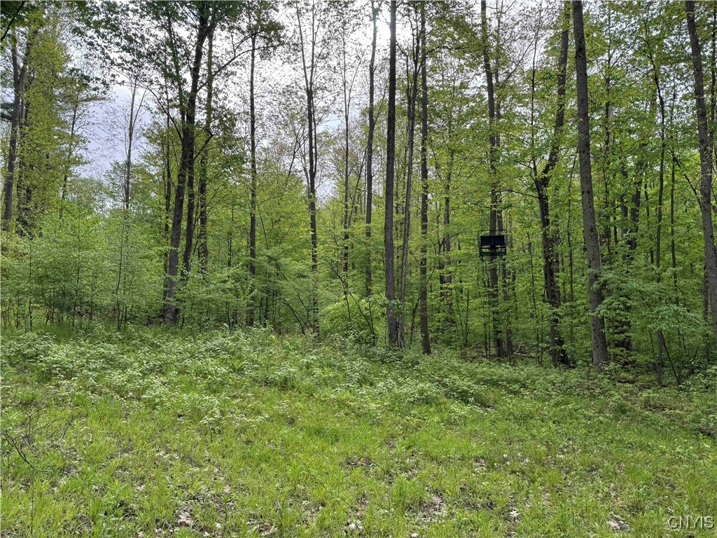 Jordan Hill Road, Clarksville, New York image 26