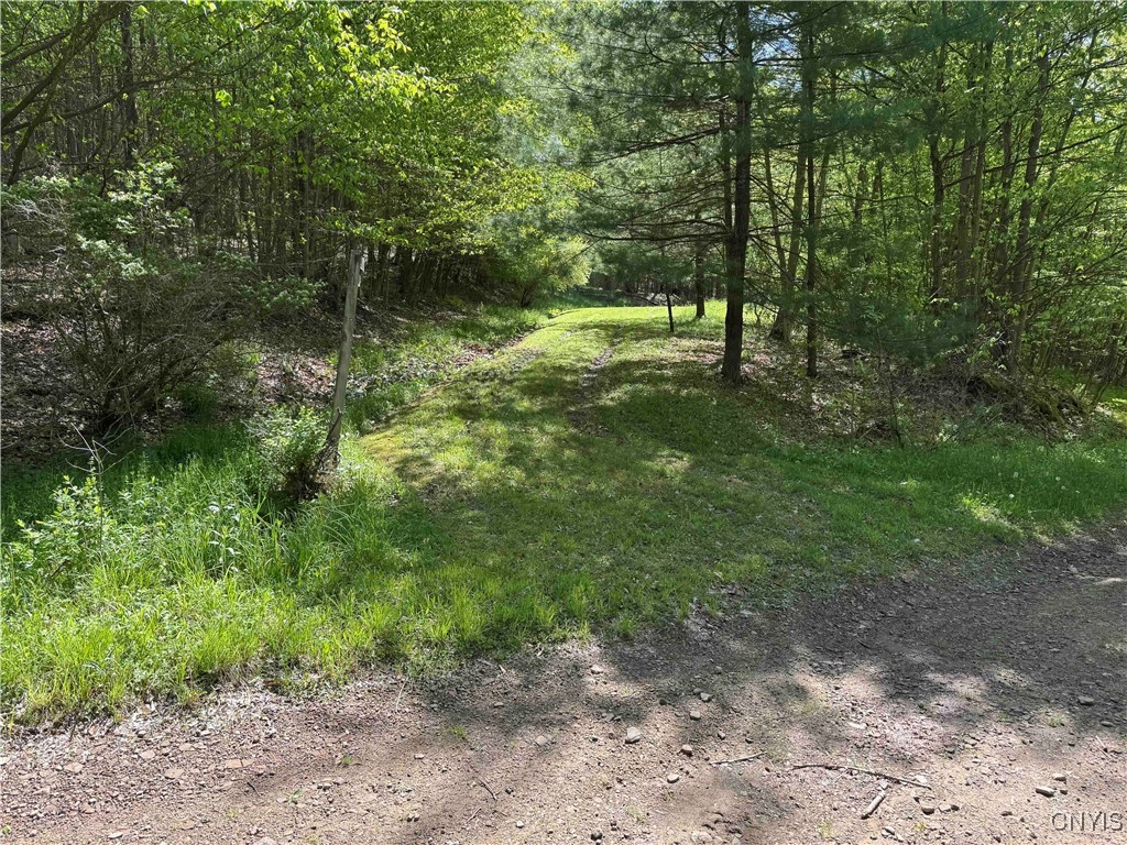 Jordan Hill Road, Clarksville, New York image 42