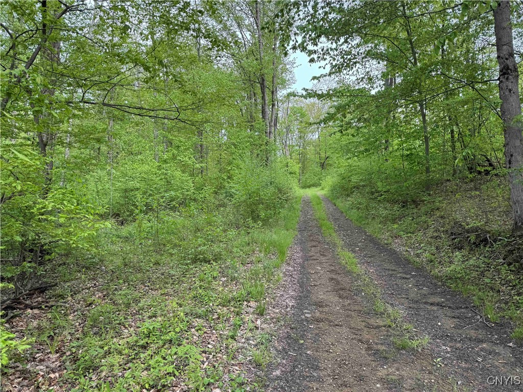 Jordan Hill Road, Clarksville, New York image 31