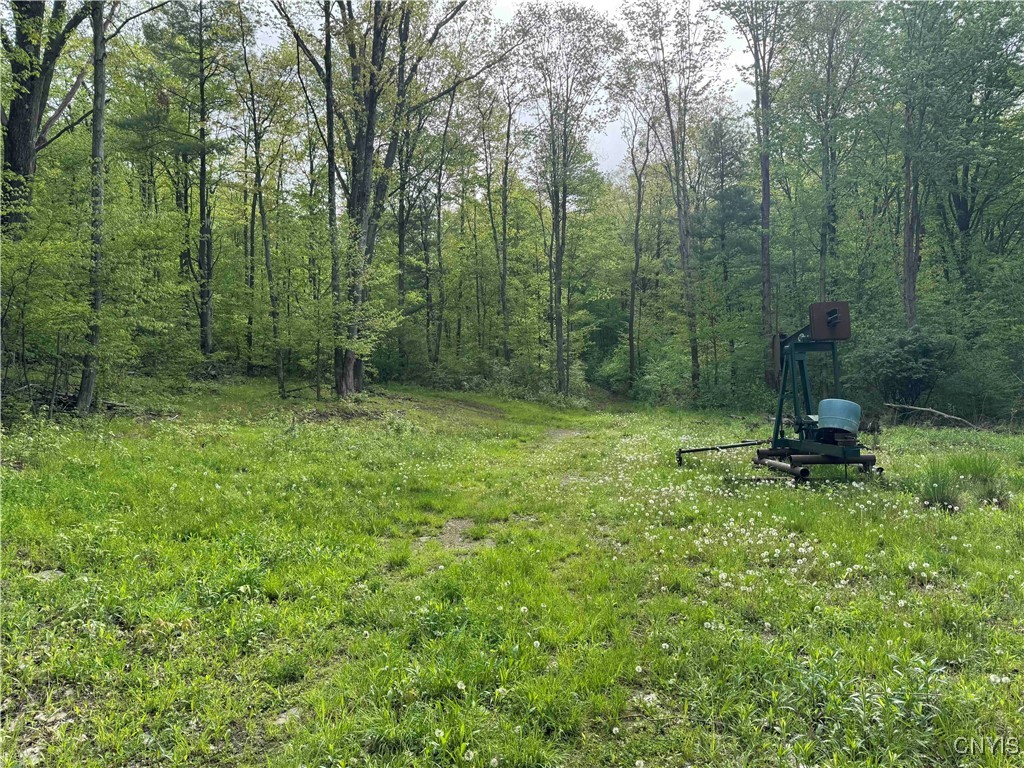 Jordan Hill Road, Clarksville, New York image 28