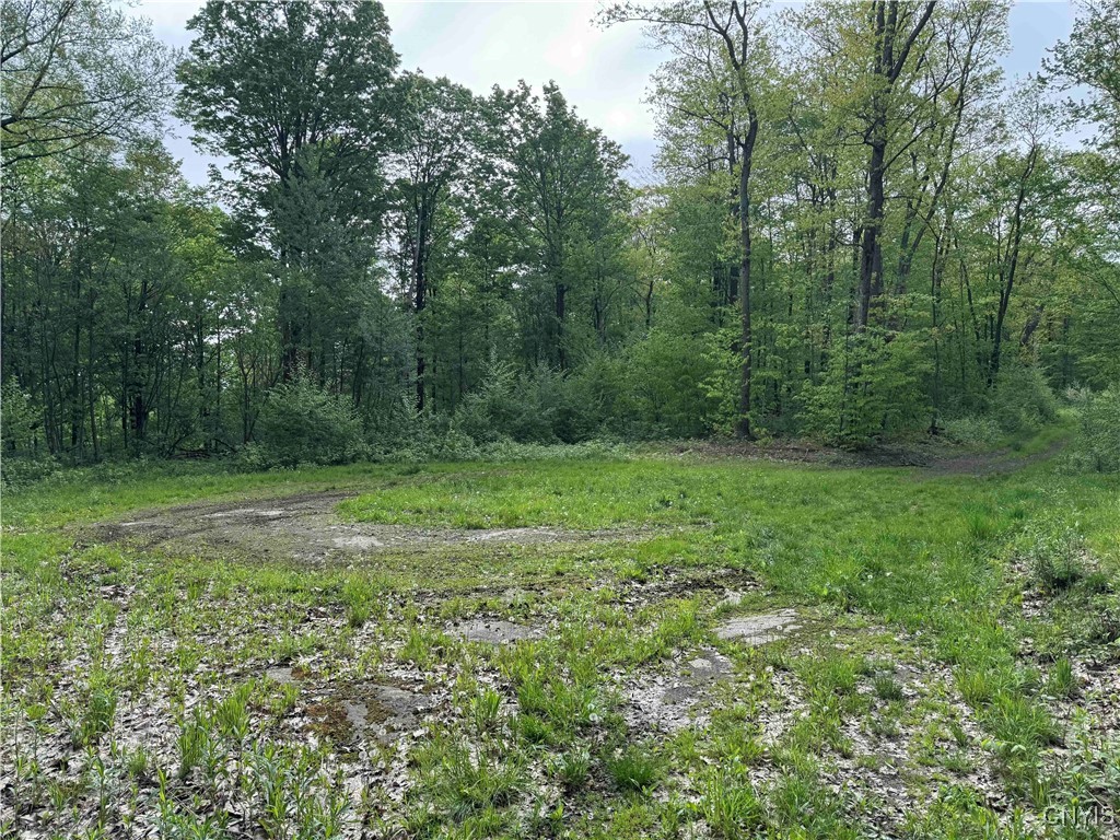 Jordan Hill Road, Clarksville, New York image 33