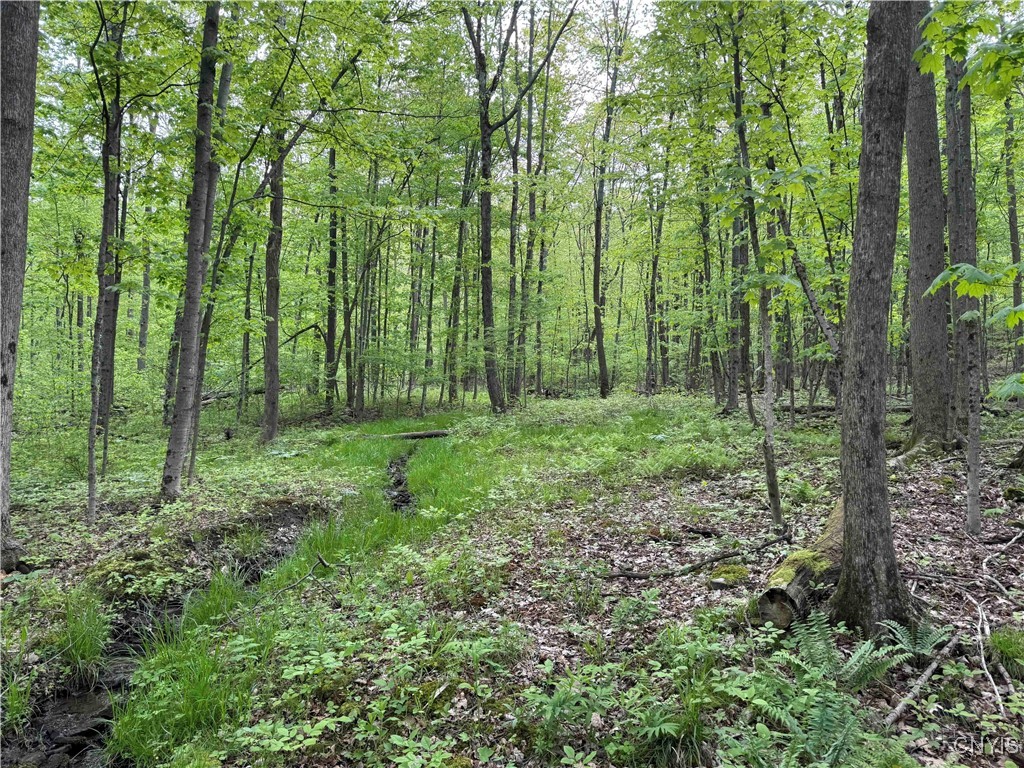 Jordan Hill Road, Clarksville, New York image 22