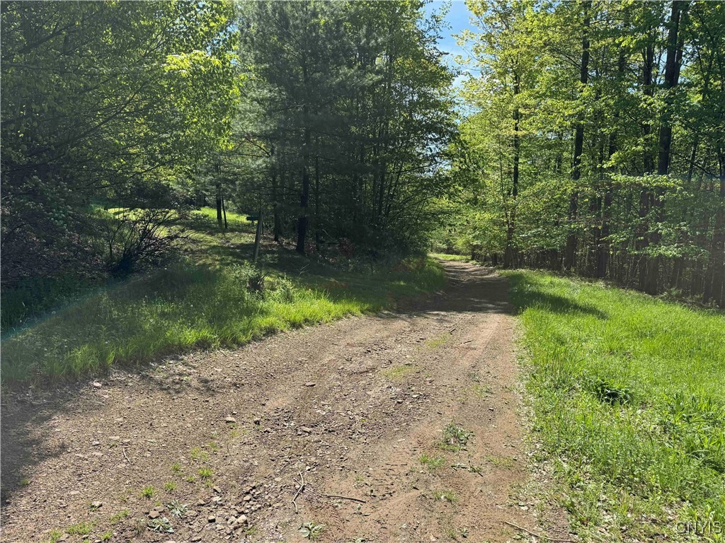 Jordan Hill Road, Clarksville, New York image 41