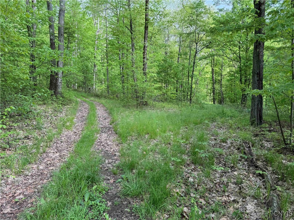 Jordan Hill Road, Clarksville, New York image 34