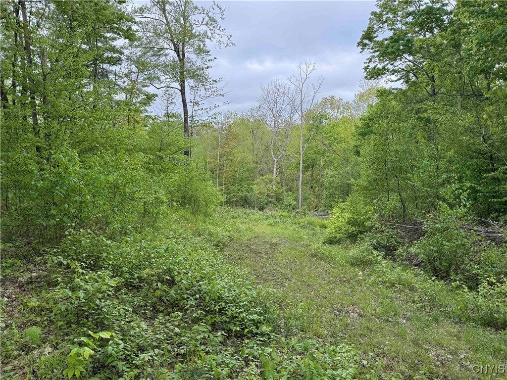 Jordan Hill Road, Clarksville, New York image 14
