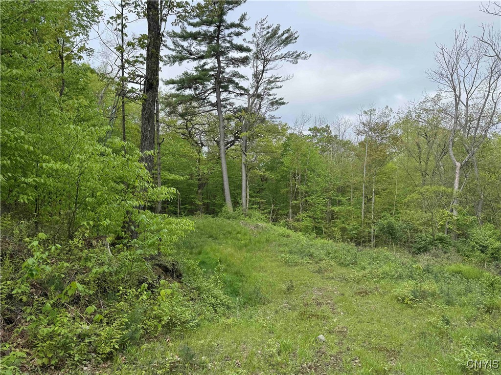 Jordan Hill Road, Clarksville, New York image 15
