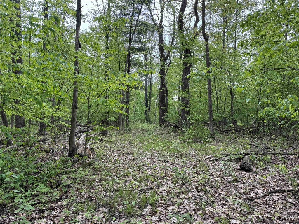 Jordan Hill Road, Clarksville, New York image 11
