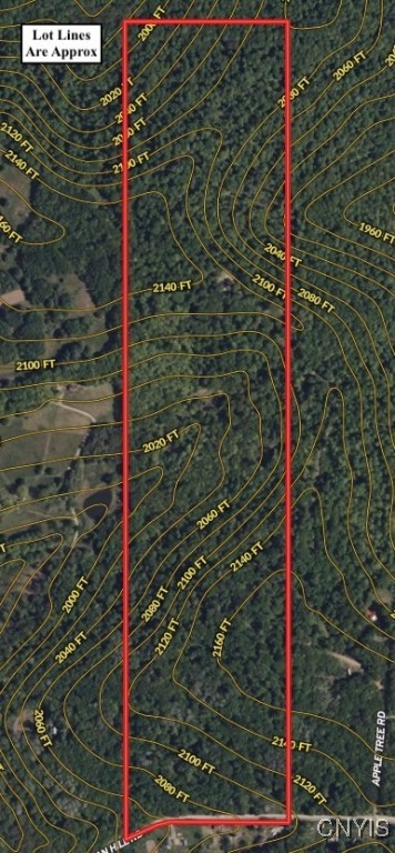 Jordan Hill Road, Clarksville, New York image 3