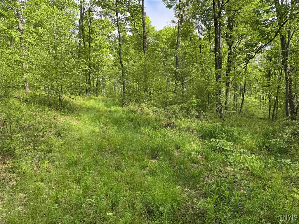 Jordan Hill Road, Clarksville, New York image 36