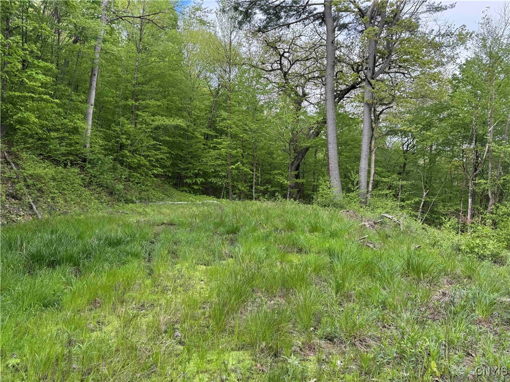 Jordan Hill Road, Clarksville, New York image 16