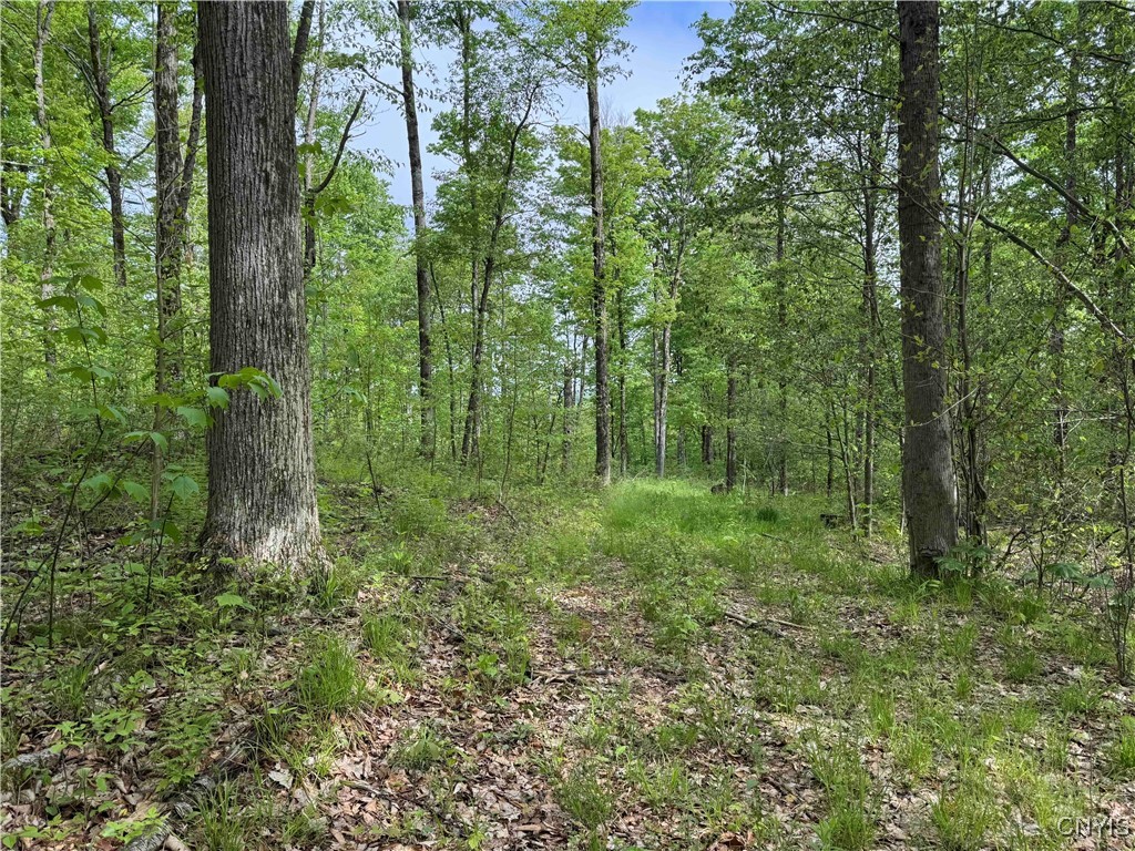 Jordan Hill Road, Clarksville, New York image 37