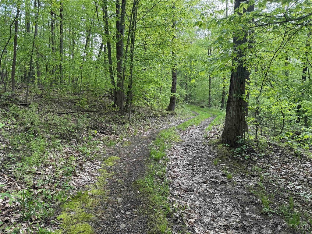 Jordan Hill Road, Clarksville, New York image 30
