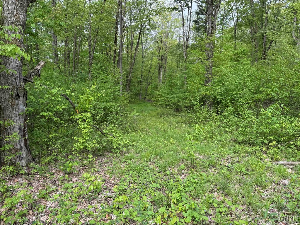 Jordan Hill Road, Clarksville, New York image 32