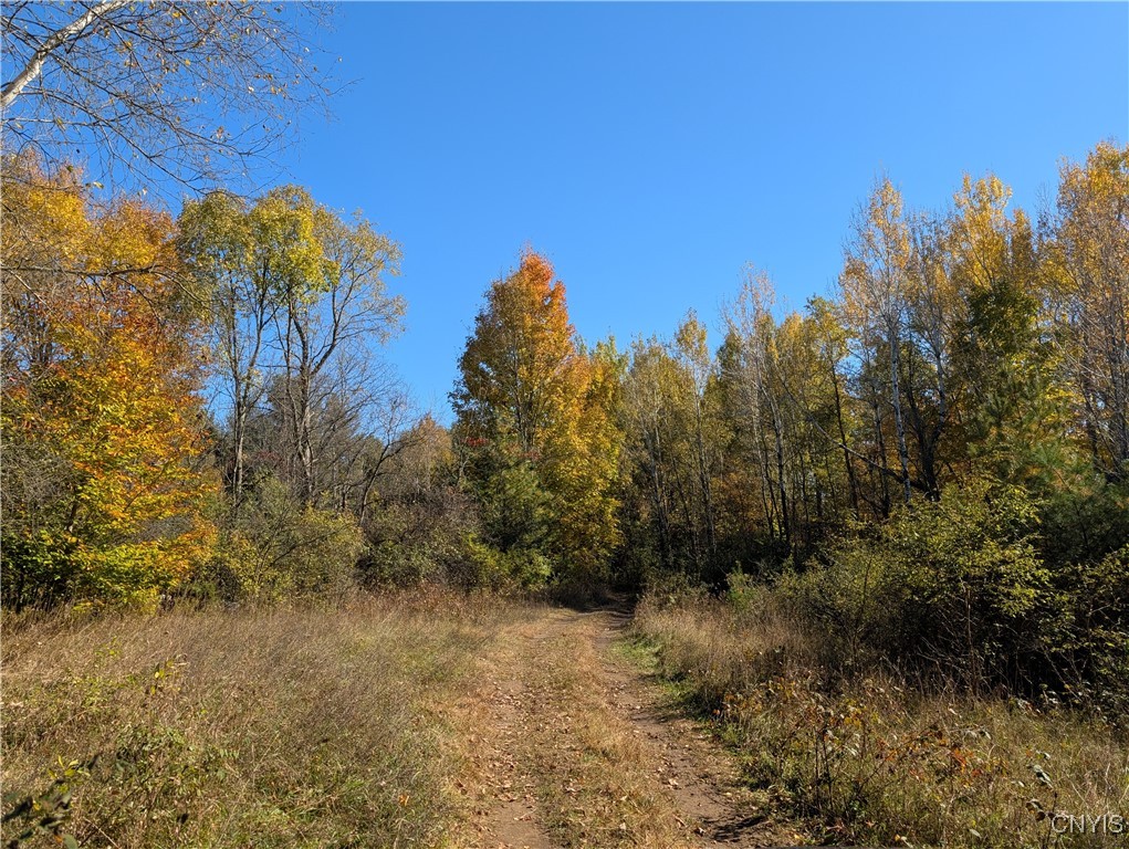 State Highway 12 #N, Sherburne, New York image 7