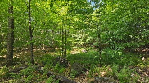 Tiny photo for Summit Place, Webb, NY 13420 (MLS # S1690337)
