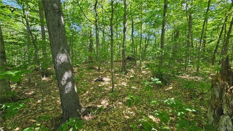 Tiny photo for Summit Place, Webb, NY 13420 (MLS # S1690337)