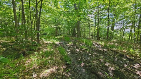 Tiny photo for Summit Place, Webb, NY 13420 (MLS # S1690337)