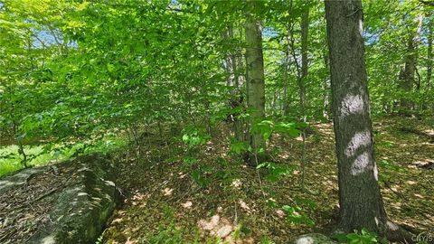 Photo of Summit Place, Webb, NY 13420 (MLS # S1690337)