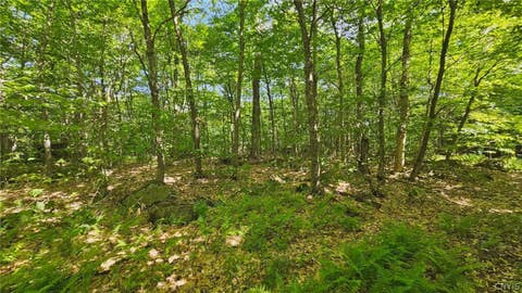 Tiny photo for Summit Place, Webb, NY 13420 (MLS # S1690337)