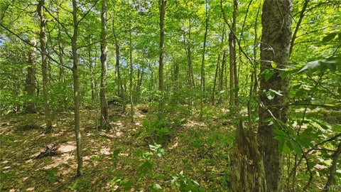 Tiny photo for Summit Place, Webb, NY 13420 (MLS # S1690337)