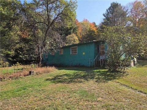 4662 River Road Lyons Falls NY 13368