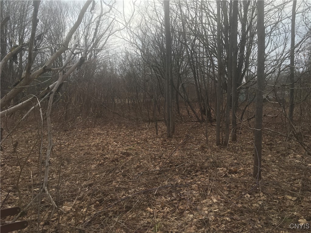 2805 State Route 13, Albion, New York image 2