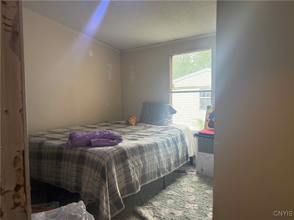 53 Penguin Drive, Cortland, New York image 11
