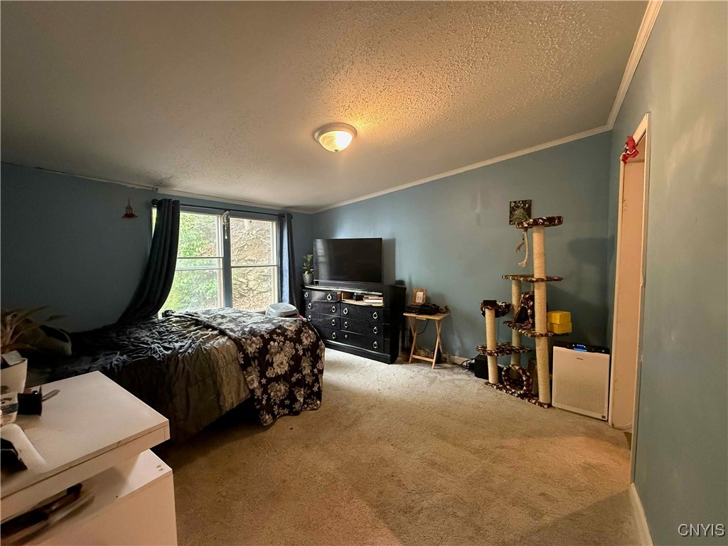 53 Penguin Drive, Cortland, New York image 7