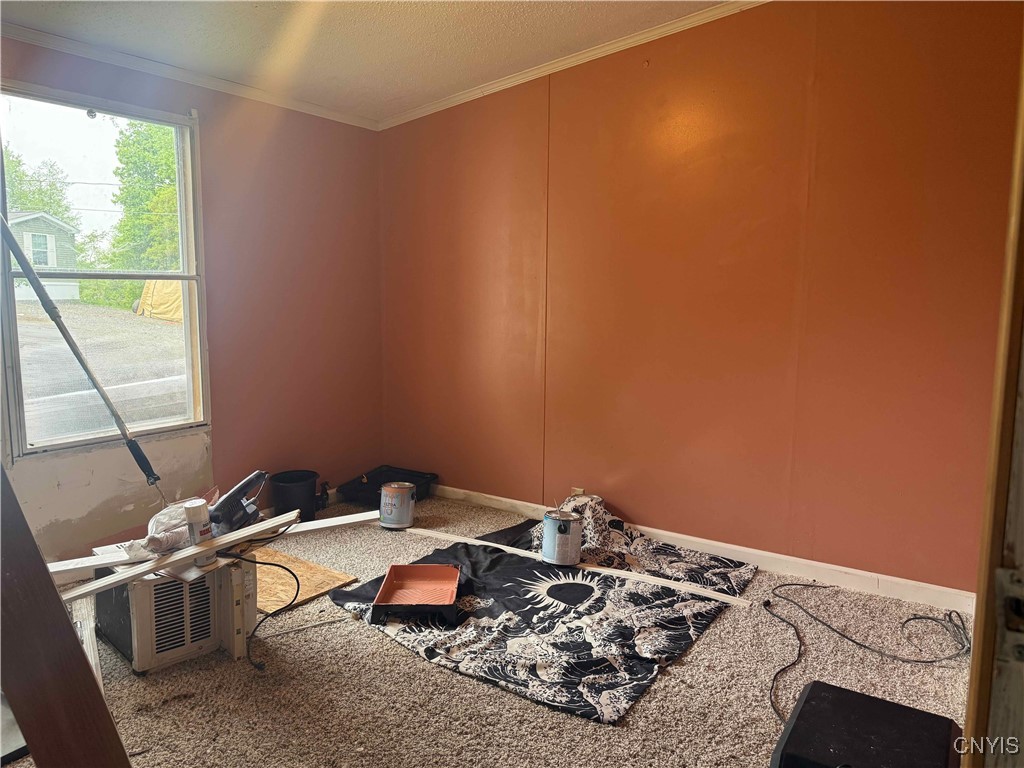 53 Penguin Drive, Cortland, New York image 14