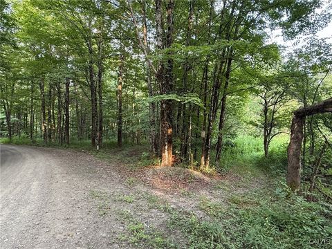 Vacant Land For Sale - Dutch Hill Road<br/> Cincinnatus, NY 13040
